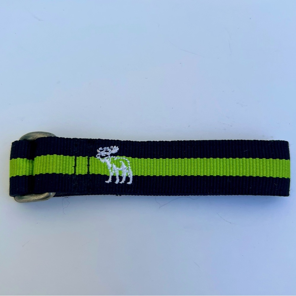 Abercrombie & Fitch Bracelet Green/Blue Fabric/Leather Metal Buckle